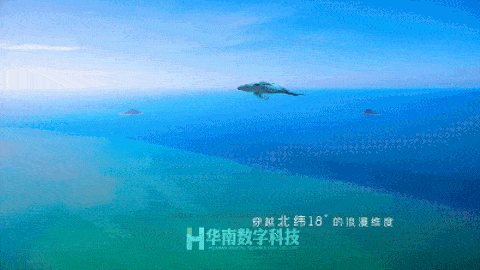 1654741652712993.gif 1.gif